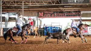 Quem são as top 5 do ranking de Team Roping do USTRC All Girl