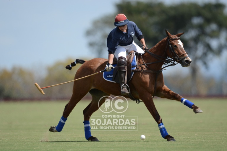 O Jogo De Ação Do Cavalo Dos Cavaleiros Do Jogador De Ireland V Zimbabwe Em  Jogos Do Campeonato Da Polo-cruz Do Campeonato Do Mundo Em Campos Do  Equestrain De Shongweni Fora De