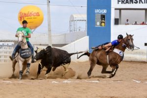 Ceará festeja sanção de lei com maior Vaquejada de sua história