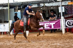 Expo Nacional do Mangalarga mostra funcionalidade e beleza da raça