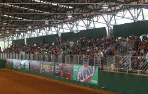 Quarto de Milha em foco com Potro, Copa e Derby ABQM