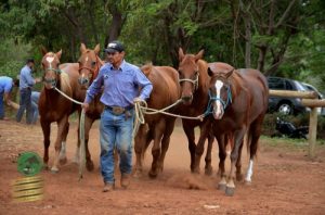 Entenda as competições da ABQM em Araçatuba