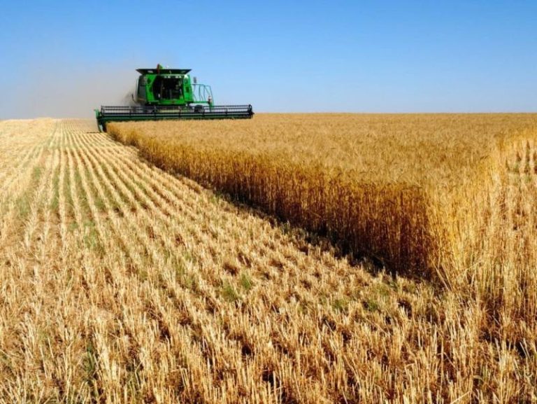 Ministério da Agricultura quer fortalecer as cooperativas de crédito