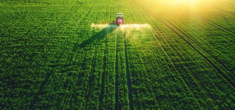 Governo federal promete R$ 5 bilhões em crédito rural