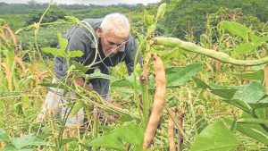 Agrobox: Produtor rural – devolução do Plano Collor