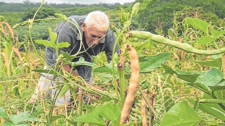Agrobox: Produtor rural – devolução do Plano Collor