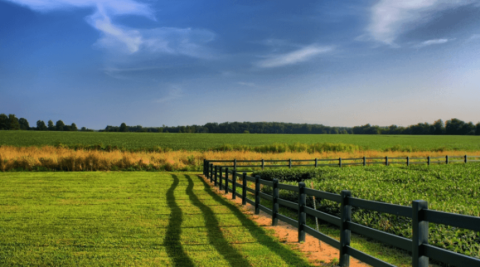 Proposta para resolver o passivo do Funrural já está pronta