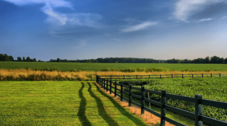 Proposta para resolver o passivo do Funrural já está pronta