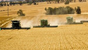 Confiança do Agronegócio segue em alta no 3º trimestre