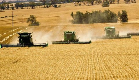 Confiança do Agronegócio segue em alta no 3º trimestre