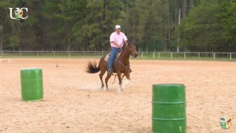 TV UC – Exercício para cavalo começando no tambor