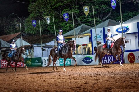 Balanço positivo da ABCCRM sobre a Nacional do Mangalarga