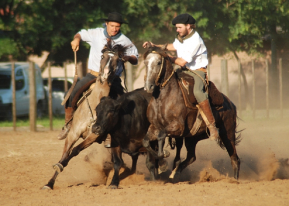 Uruguaiana se prepara para a 19ª edição da Festa do Cavalo Crioulo