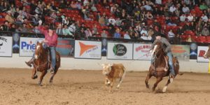 A fórmula mágica do cavalo de laço