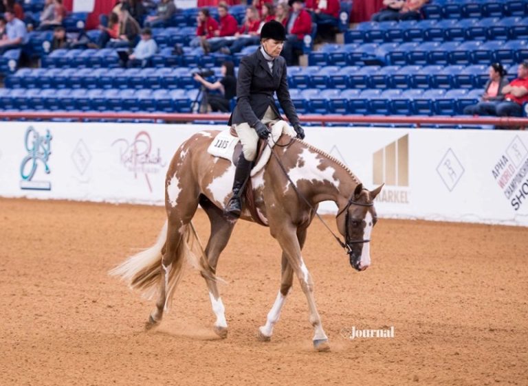 APHA World Championship Show 2019 premia campeões AllAround Cavalus