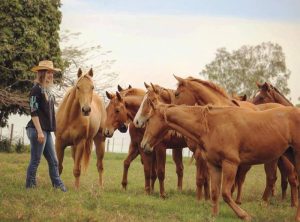 Haras Agae faz parte da história de Bauru e do Quarto de Milha no Brasil