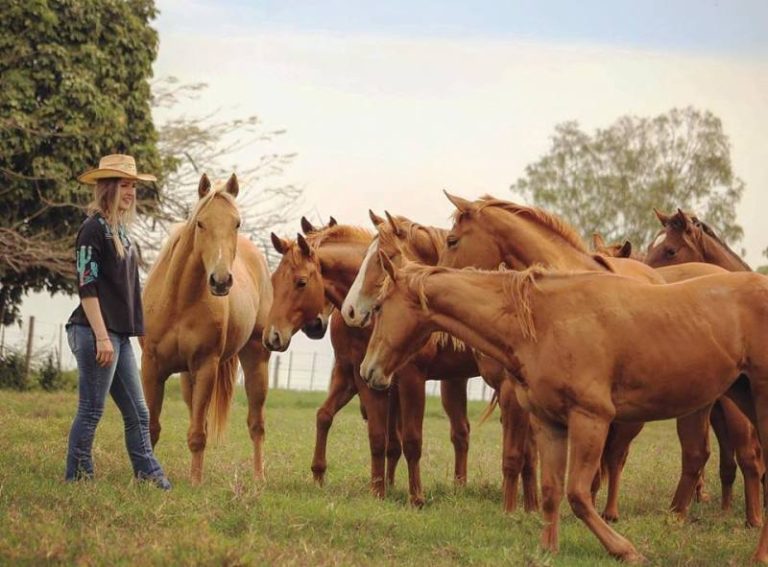 Haras Agae faz parte da história de Bauru e do Quarto de Milha no Brasil