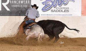 Hackamore Classic com Edsall e a maior de Working Cow Horse