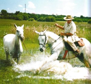 Cavalgar Nossa Paixão