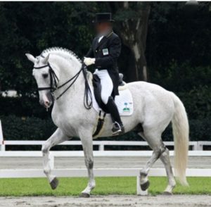 Dicionário Equestre Português & Inglês