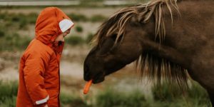 Descubra a forma ideal de apresentar seu filho aos cavalos