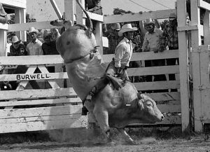 Larry Mahan tem oito títulos mundiais e faz parte da história da PRCA