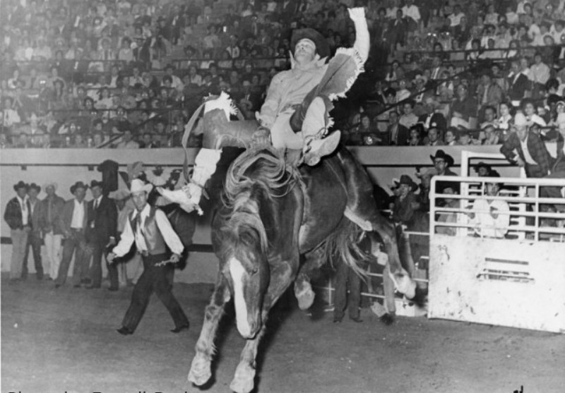 Introduzido no Hall Of Fame de 1979. Larry Mahan é até hoje uma lenda do rodeio mundial; talento para as três modalidades de montaria.
