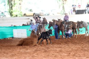 Letícia Viana se desafia todos os dias no Breakaway Roping