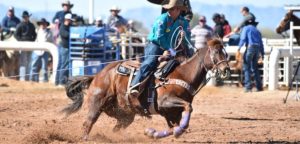 Team Roping: fechada lista para NFR, conheça os cavalos