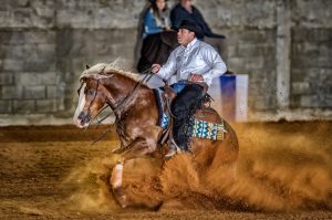 Roberto Jou se prepara para o Rédeas de Ouro 2019