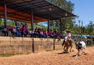 2º Workshop Cavalgada Rosa reúne 55 mulheres em Botucatu