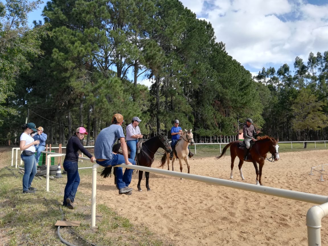 Aluísio Marins montou no cavalo de todos os participantes da Clínica de Equitação de Trabalho - Imagem: Divulgação/Horseway
