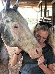 Veterinários viajam para Bahamas para ajudar cavalos afetados pelo furacão Dorian