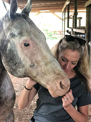 Laurie Hood, diretora estadual de Ação de Bem-Estar Animal da Flórida, ajudando com cavalos afetados pelo furacão Dorian. Foto cedida pela Fundação Animal Wellness