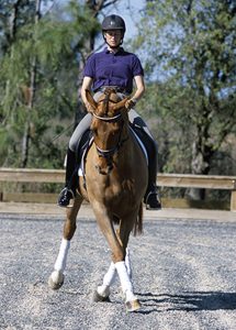 Aprenda o rendimento das pernas