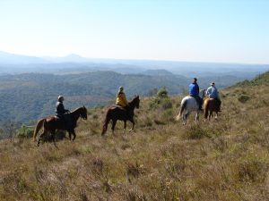 Cavalgada Campos Gerais do Paraná mostra Caminho das Tropas