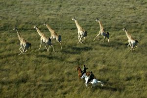 Cavalgada através da maior reserva da África do Sul