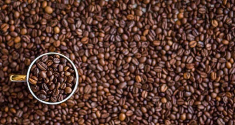 Safra de café do Brasil será recorde em 2020