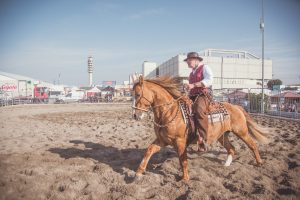 1ª edição do Freio Europa começa nesta quinta-feira