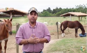 TV UC – A hora da ração para os cavalos