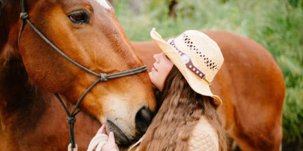 20 exercícios de base para você fazer com seu cavalo. tanto cavalos jovens como velhos podem se beneficiar com esse treinamento