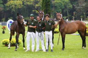 Conheça os campeões de Progênie de Pai e Mãe da Nacional do Cavalo BH