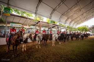 Tietê sedia o 34º Campeonato Brasileiro de Marcha Batida