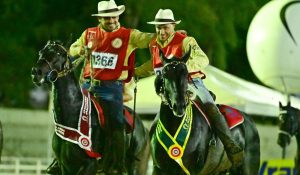 Conheça os cavalos campeões do 12º CBMP