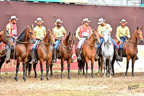 Mais de 33 mil exemplares da raça participaram de provas em 2019, segundo a ABCCMM