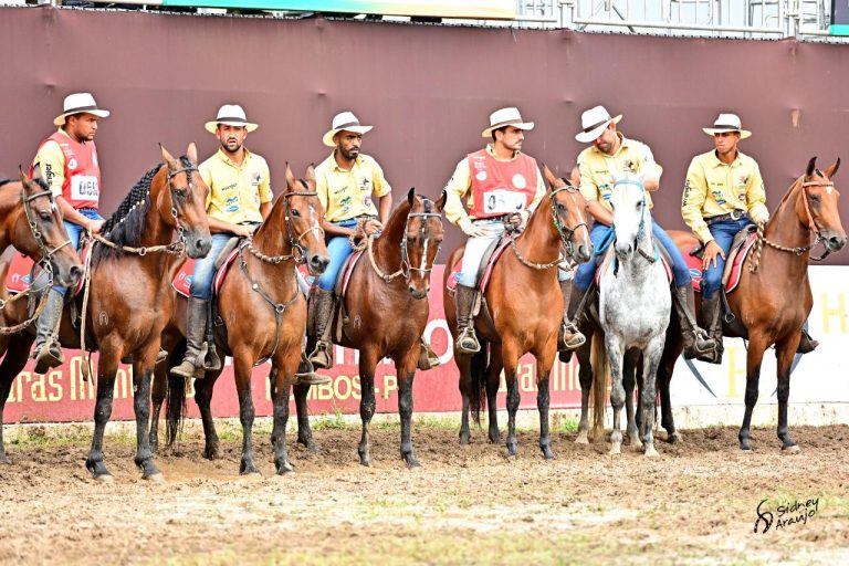Mais de 33 mil exemplares da raça participaram de provas em 2019, segundo a ABCCMM