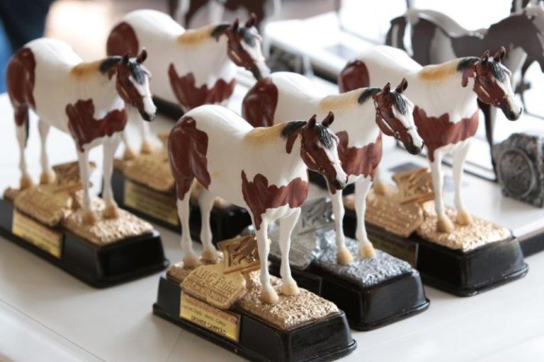 Pelagem exótica do Paint Horse promete encantar na Nacional e Potro do Futuro