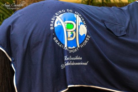 Lote solidário será ofertado no Leilão BH do Futuro