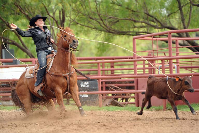 Lari Dee Guy entra para o 2020 Texas Cowboy Hall of Fame. Ela está fazendo história no Breakaway Roping em outras provas de laço para as mulheres