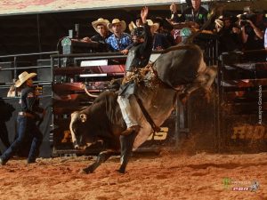 Manejo animal é a maior preocupação da PBR Brazil